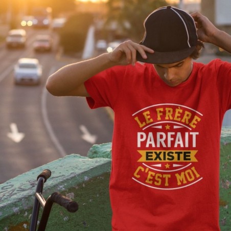 Le frère parfait