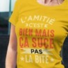 L'amitié c'est bien mais