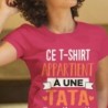 Ce t-shirt appartient à