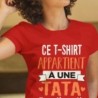 Ce t-shirt appartient à